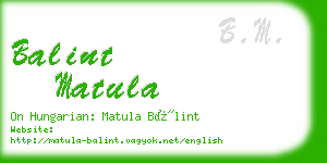 balint matula business card